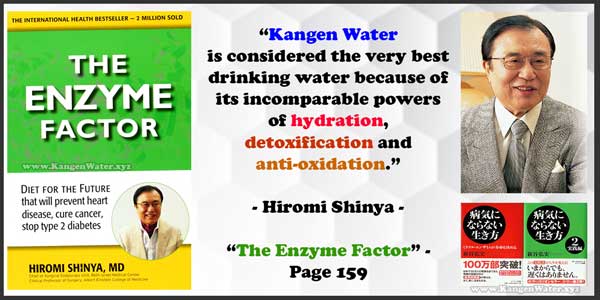 hiromi shinya kangen water enzyme factor